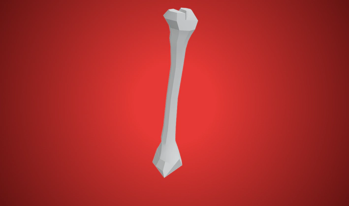 bone