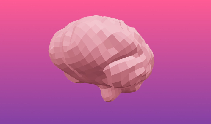Brain